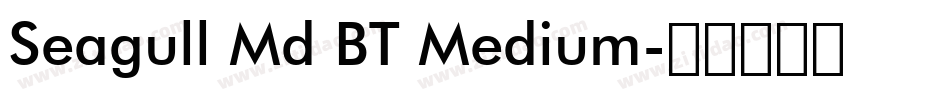 Seagull Md BT Medium字体转换
